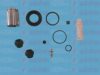 AUTOFREN SEINSA D42252C Repair Kit, brake caliper